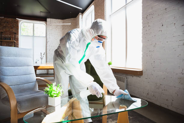 Best Industrial Mold Remediation  in Yuma, AZ